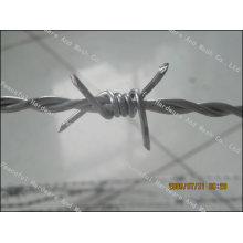 Hot Sale 12X12 Barbed Iron Wire